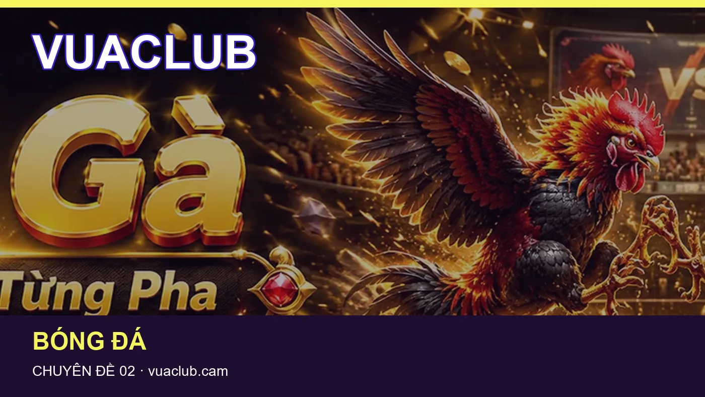 Thể thao: những thuật ngữ cần hiểu khi tra cứu VUACLUB