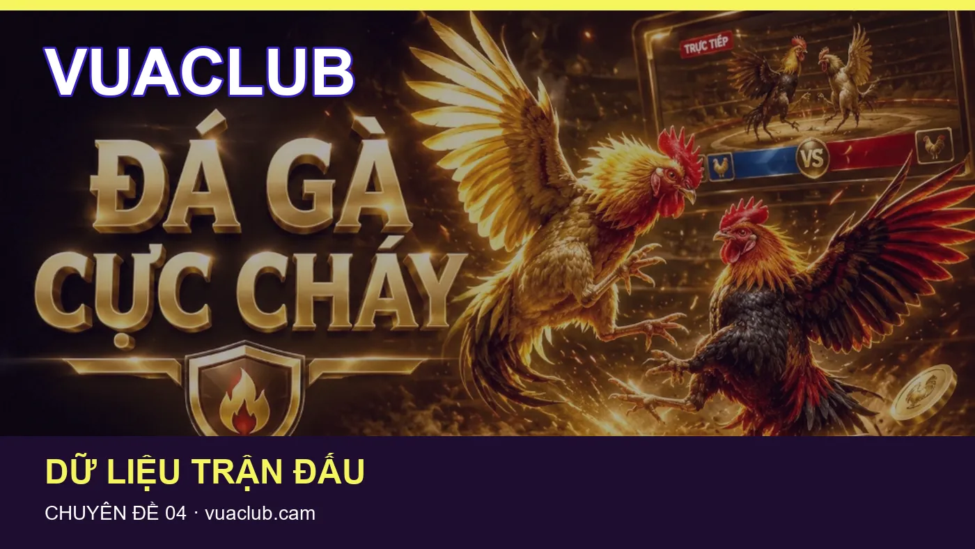 Hỏi đáp về Lịch thi đấu: quy trình tự kiểm tra trên VUACLUB