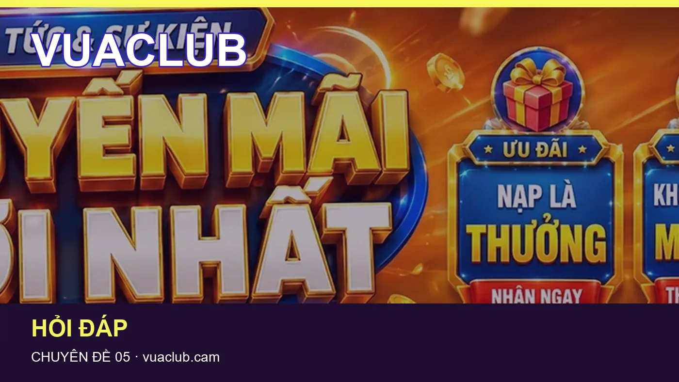Hỏi đáp về Hỏi đáp: quy trình tự kiểm tra trên VUACLUB